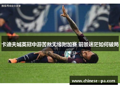 卡迪夫城英冠中游苦熬无缘附加赛 前景迷茫如何破局